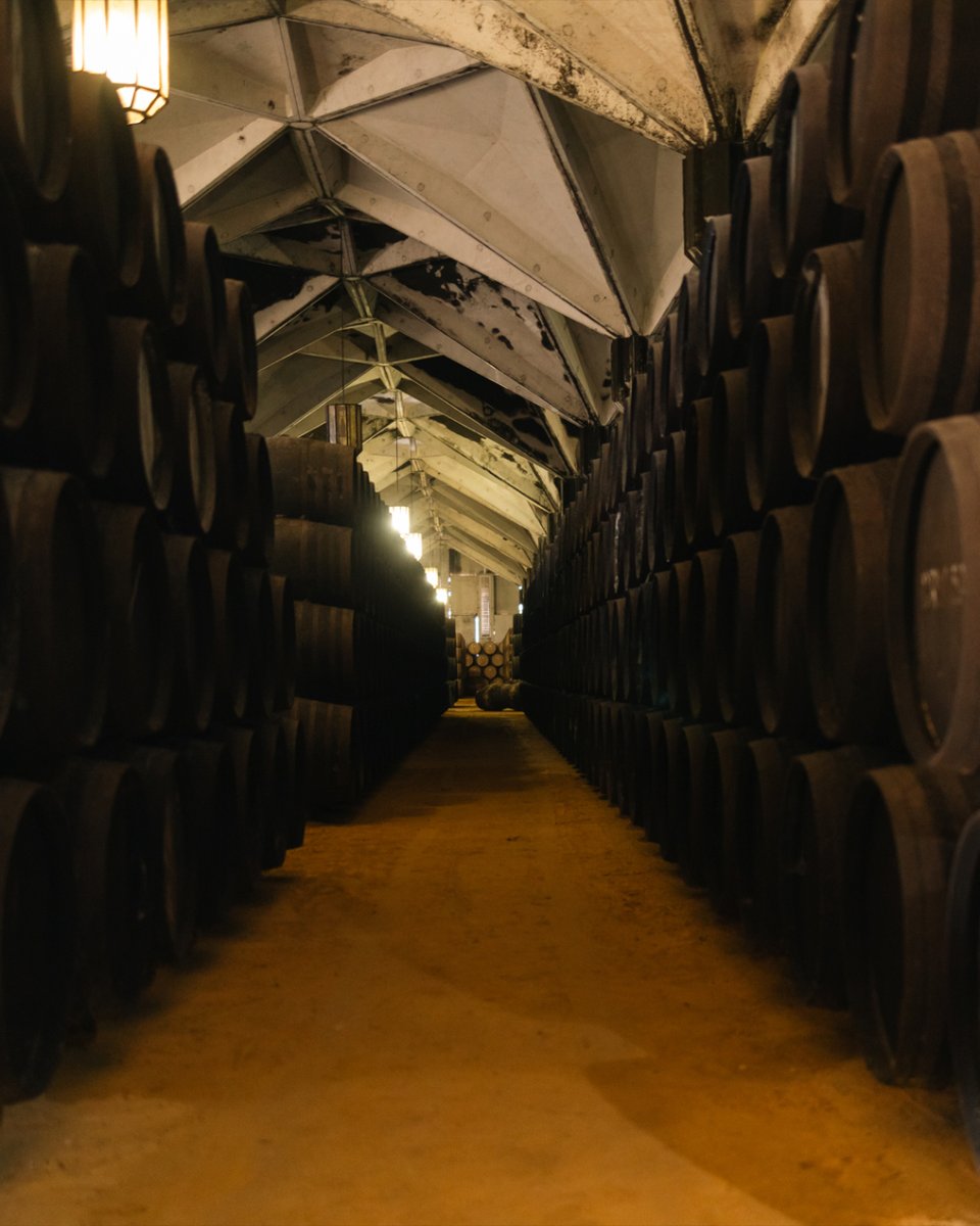 El albero que cubre el suelo de nuestra bodega desempeña un papel esencial. Gracias a su alta porosidad, este material natural contribuye a regular la humedad óptima para la crianza de nuestros vinos. 

#williamshumbert #jerez #vinojerez