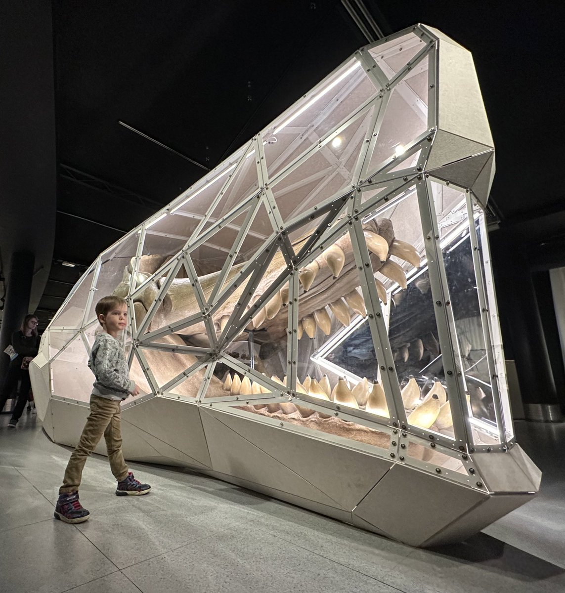 Bert_VdA's tweet image. Wat is het @nat_sciences_be toch elke keer opnieuw een geweldig museum! Zowel voor een 5- als een 41-jarige!
Uitstapje met #Daan❤️

#Dinomuseum #Bxl