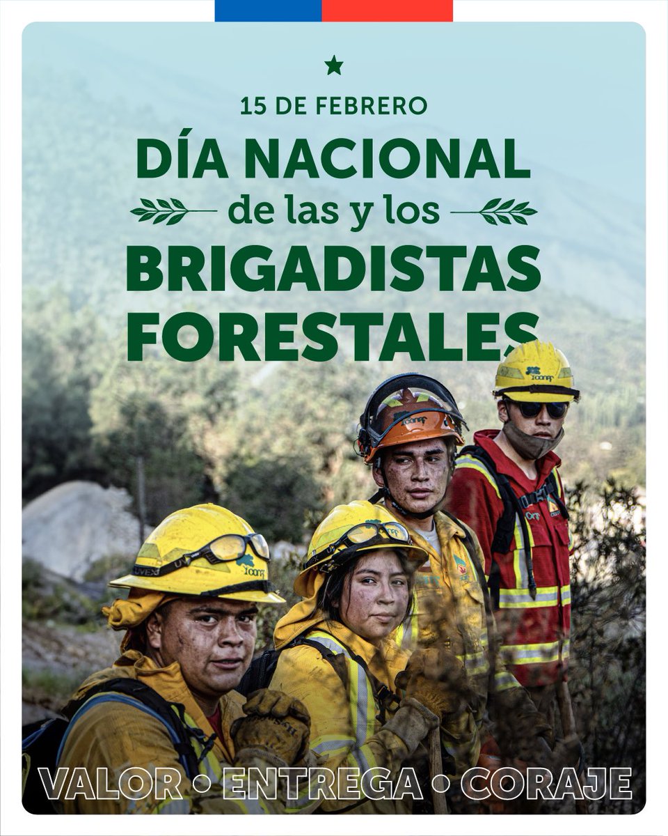 Las y los brigadistas forestales cumplen una labor heroica al cuidado del patrimonio natural y la protección de la vida de las personas. ✅

¡Cada 15 de febrero destacamos y agradecemos el esfuerzo y entrega de quienes combaten los incendios forestales!