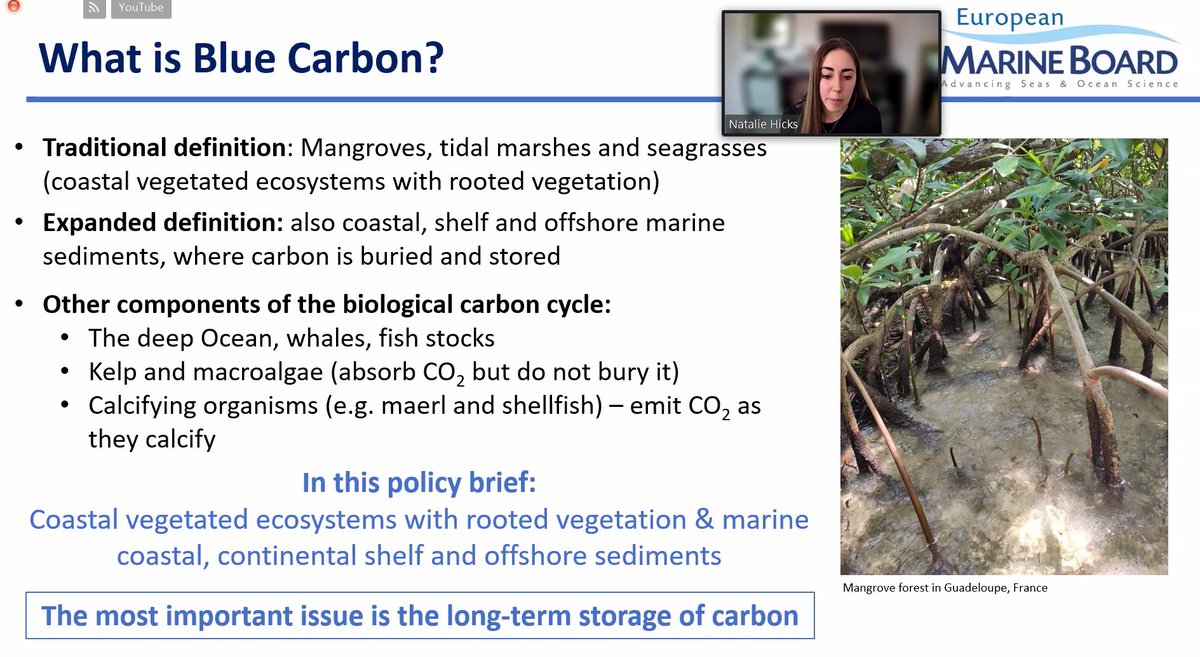 Natalie Hicks - one of the co-authors of our Blue Carbon document gives an overview of the policy brief @DrNatalieHicks - talking about what #BlueCarbon is and isn't giving our definition for the document