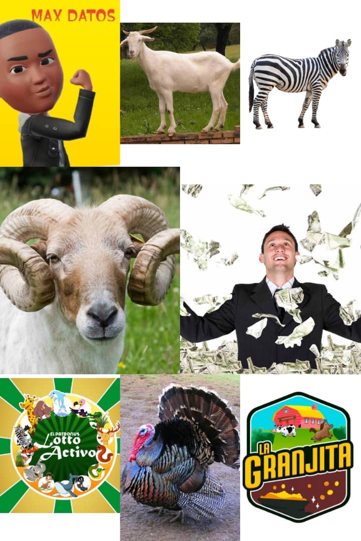 maxdatos's tweet image. BUEN DIA GRUPO AQUÍ MI PEQUEÑO APORTE PARA HOY JUEVES SUERTE 🤑🍀🤑🍀🍀