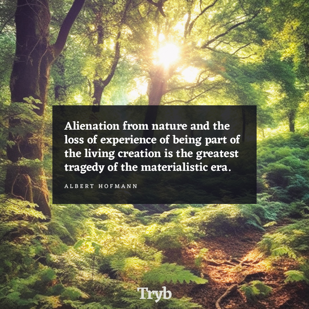🌿 "Alienation from nature is the greatest tragedy of our era" - Albert Hofmann. It's time to rediscover our bond with the Earth 🌎💚 Let's make every effort to live more mindfully + sustainably. What's your first step going to be? #NatureConnection #Sustainability #MindfulLiving