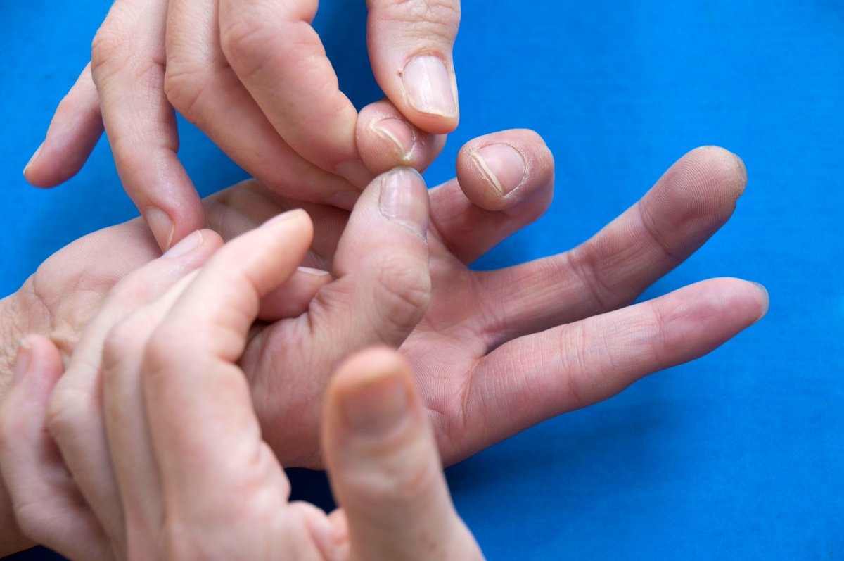 World Wheelchair Rugby tweet media