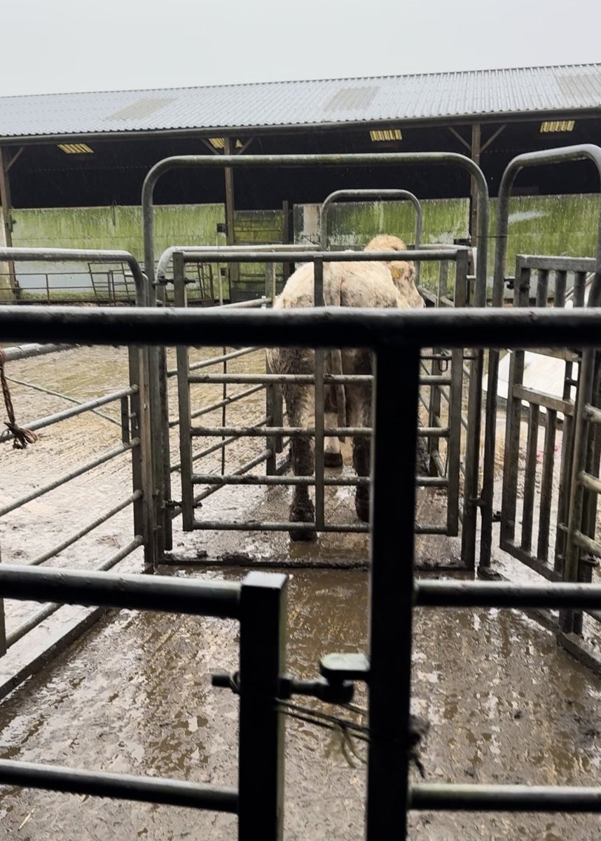 newlandfarm's tweet photo. https://t.co/sfwUb0cVEO