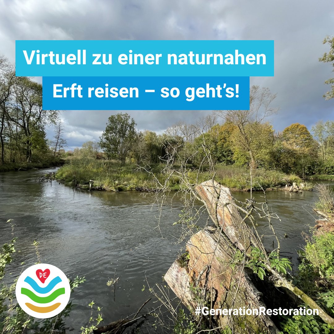 Dekade_Rest_DE's tweet photo. Fluss-Renaturierung aus nächster Nähe 🏞️

Der Erftverband renaturiert im Top-3-Projekt “Erftverlegung Gnadenthal” mehrere Abschnitte der Erft. Ins Projekt sind auch die @th_koeln  und die Biologische Station im Rhein-Kreis Neuss eingebunden. ⬇️ https://t.co/1mnFxgDuRU