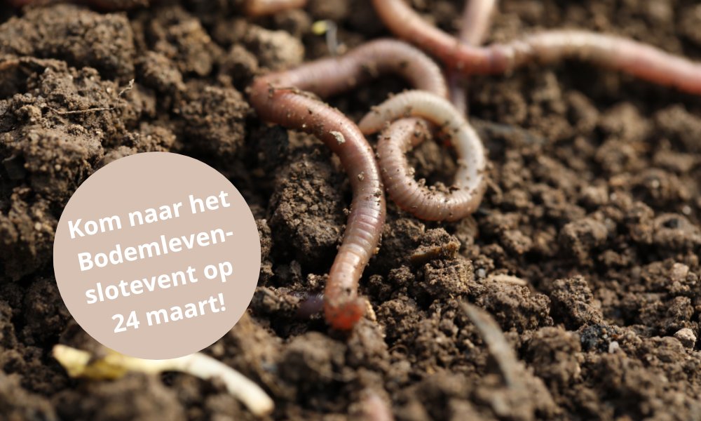 Bodemleven tweet media