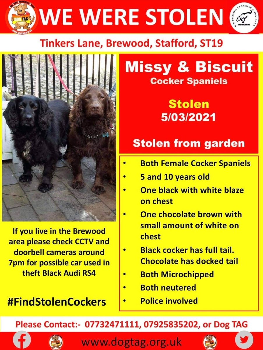 MissingPetsGB's tweet photo. Where are MISSY &amp; BISCUIT??

Reward for safe return of these two much loved girls

Stolen #Stafford #ST19 in 2021

Please help find Missy &amp; Biscuit https://t.co/C9nChMl6bR