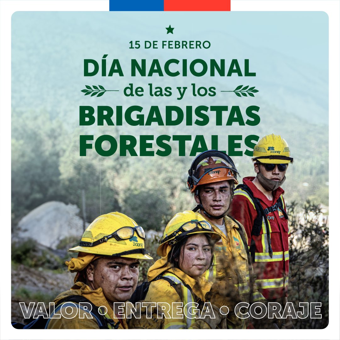 Las y los brigadistas forestales cumplen una labor heroica al cuidado del patrimonio natural y la protección de la vida de las personas. 

Cada 15 de febrero destacamos y agradecemos el esfuerzo y entrega de quienes combaten los incendios forestales.