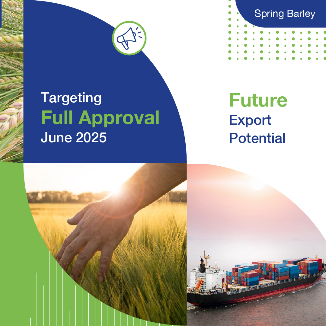 SyngentaUK's tweet image. 🌟 #SYSIGNET 🌟 An exciting, future leading Spring Malting Barley with provisional MBC Approval for Brewing 🍺 Take a look at the latest AHDB Data on our website to find out more! 👉 syngenta.co.uk/sy-signet