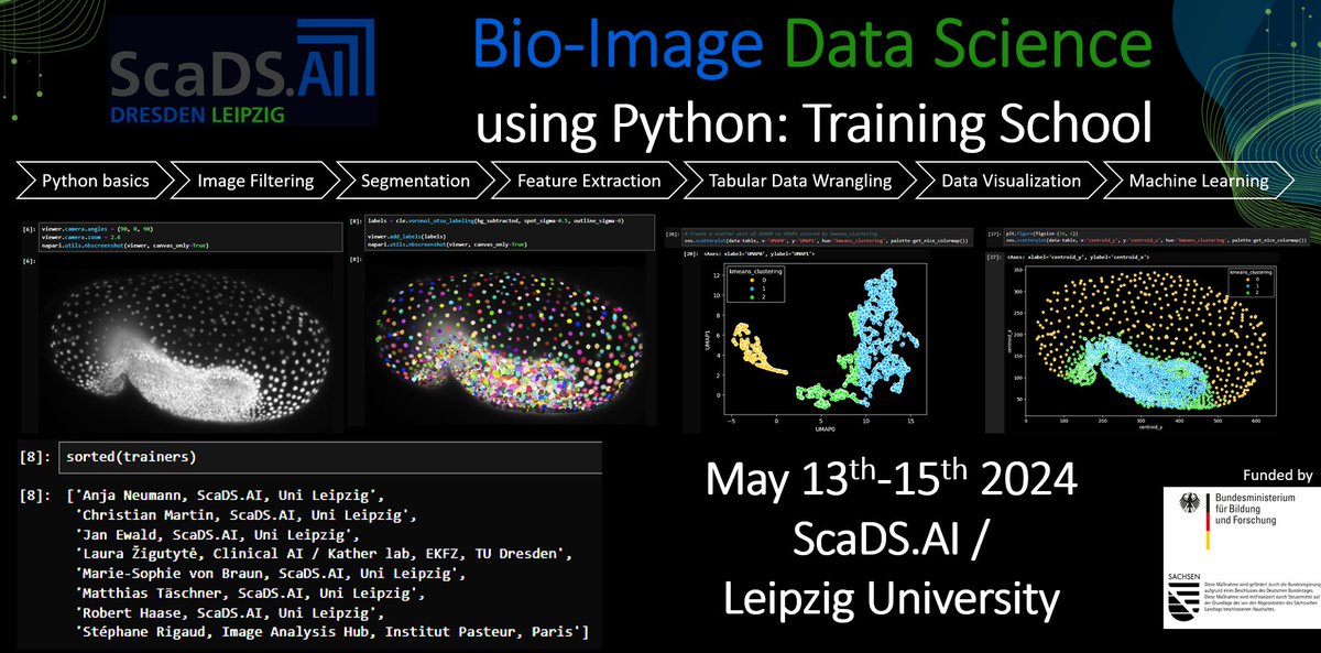 Take your chance and improve your #Python skills with our @Sca_DS Training 'Bio-image Data Science with Python'.🐍 From May 13th to 15th, @Sca_DS researcher @haesleinhuepf gives an introduction into image analysis with coding. Stay tuned for more, registration will be open soon!