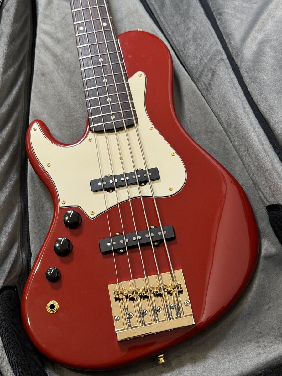 SELVA エレキベース 5弦 SELVA エレキベース 5弦 SELVA エレキベース 5弦 SELVA (セルヴァ