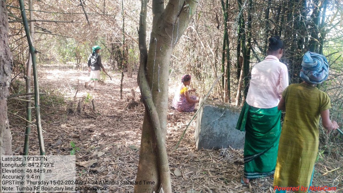 Forest Block boundary Line Cleaning, which will act as forest fire barrier. @pccfodisha @ForestDeptt @PCCFWL_Odisha