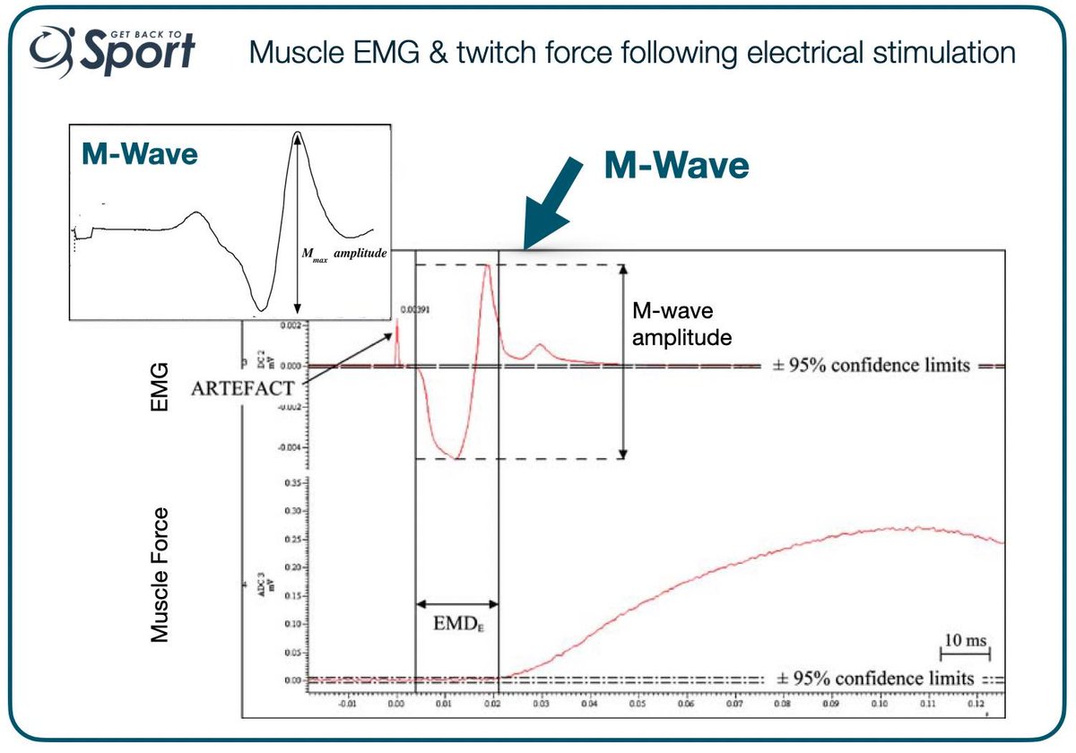 What is EMG? &amp; How To Use it 
Biofeedback or EMG Assessment?

Have you ever used EMG? Do you know what it is? Maybe you’re looking to improve your EMG signal quality?

I’m frequently asked about EMG, despite it being one of the lesser-used techniques in rehab, &amp; I love this as