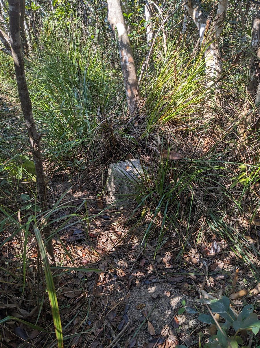 HK_Exfo's tweet photo. At the southern bend of the catchwater, simply follow the HKTC marker stones to the AOP ... I wonder if Tanaka's group followed them from the catchwater down to the AOP as we did? Or were they erected postwar, as the "1951" in the previous photo would indicate? https://t.co/ylFlwvVjPv