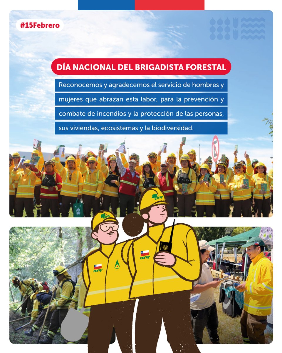 ✔️Hoy reconocemos a las y los brigadistas que integran las 319 brigadas de CONAF en nuestro país, en este Día Nacional del Brigadista Forestal.

También saludamos en este día especial a brigadistas de empresas <a href="/Ejercito_Chile/">Ejército de Chile</a> <a href="/Armada_Chile/">Armada de Chile</a> y Bomberos.

¡Gracias por su labor!