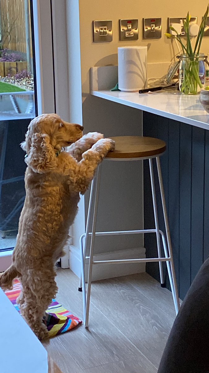ByrneCocker's tweet photo. Whatever way you look at it there are carrots there and I would like them, please!

#askingnicely 🙏🏻🥰 https://t.co/Cai6T2entC