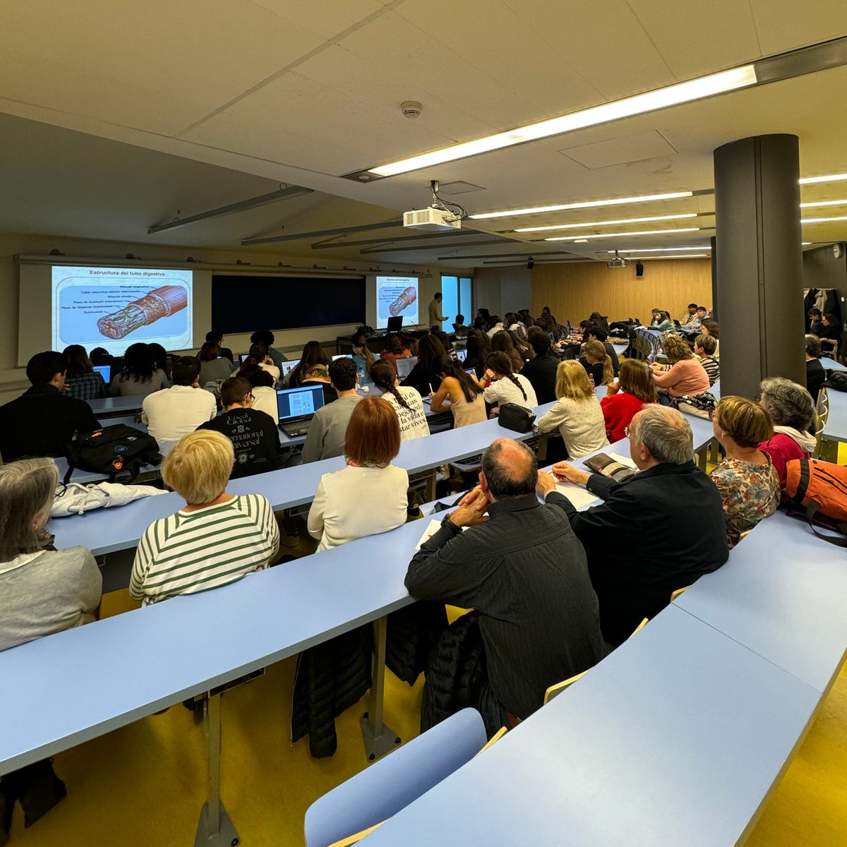 UPFbiomed's tweet image. ☀️Avui al matí a la classe oberta de la Facultat al Barri, en Paco Muñoz ha parlat sobre el sistema digestiu i la nutrició 🥦🍎

🤗Gràcies, Paco per compartir coneixements interessants i 🤗gràcies a totes i tots que ens han acompanyat.