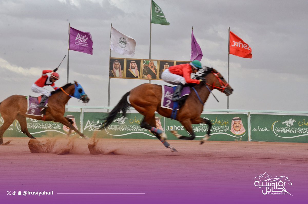 🏆| الحفل السادس عشر ضمن موسم سباقات 1445هـ

▫️الشوط الثاني  : لم تربح 3+
▫️المركز الأول الجواد : وصل الميراد
▫️المالك : اسطبل الحمدانيات
▫️المدرب : حمود سعد البقعاوي
▫️الخيال  : فارس المطرودي
▫️المسافة :  1400متر
#فروسية_حائل