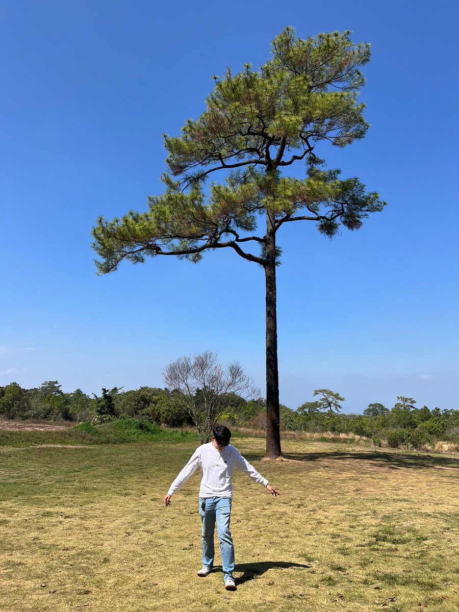 Kwang ST tweet media