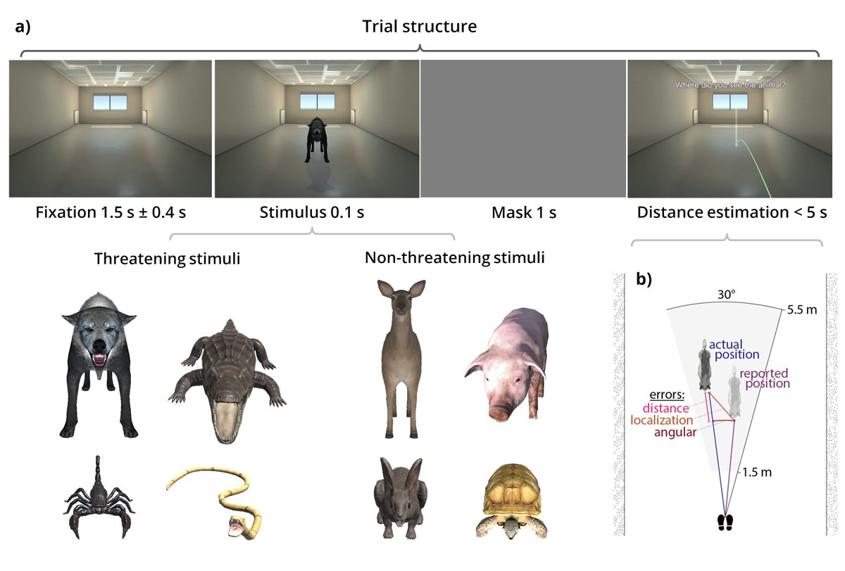 We're pleased to share a long-in-the-making study examining the perceived distance to threatening objects➡️🕷️across the cardiac cycle 🫀 with: @flxklotz @AleksanderMolak @VacAng @DarmovaBarbora ~C. Byrnes ~I. Fajnerova & @michagaebler | #VirtualReality biorxiv.org/content/10.110…