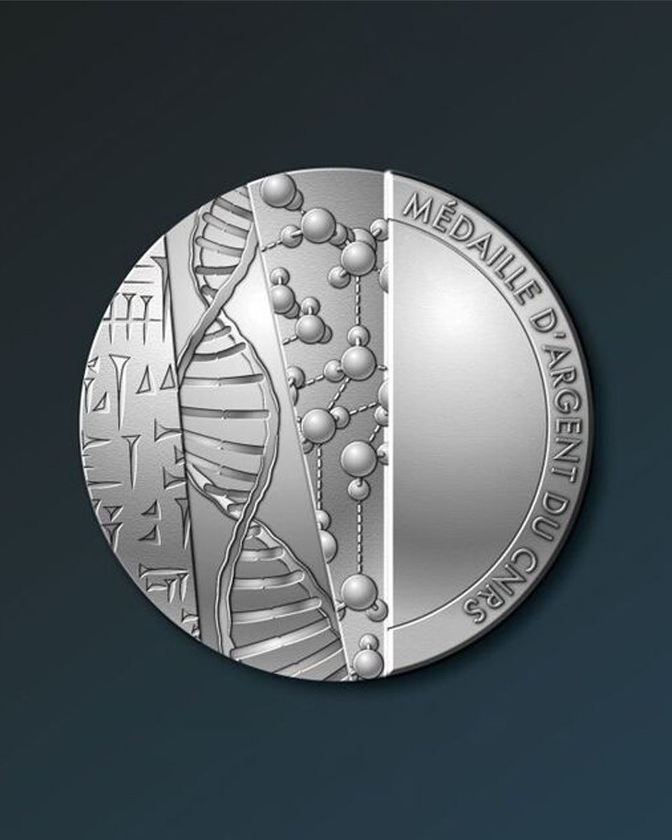 #TalentsCNRS 🥈 Le CNRS a décerné 25 médailles d’argent en 2024. 
La  médaille d’argent distingue des chercheurs et des chercheuses pour l’originalité, la qualité et l’importance de leurs travaux, reconnus sur  le plan national et international. 👏

👉 cnrs.fr/fr/cnrsinfo/le…