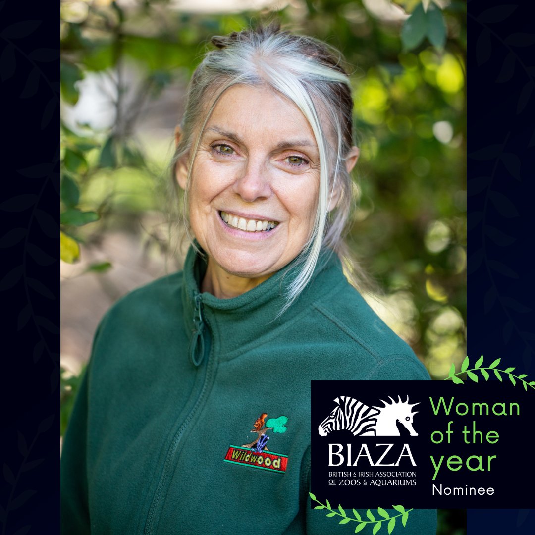 BIAZA (@biaza) on Twitter photo Our next BIAZA Woman of the Year nominee: Laura Gardner 🐤
Director of Conservation at <a href="/WildwoodTrust/">Wildwood Kent</a>, Laura has been overseeing and supporting grazing projects, water vole breeding, the Wilder Blean bison project, and the reintroduction of chough and so much more 🦬🐣 Our next BIAZA Woman of the Year nominee: Laura Gardner 🐤
Director of Conservation at <a href="/WildwoodTrust/">Wildwood Kent</a>, Laura has been overseeing and supporting grazing projects, water vole breeding, the Wilder Blean bison project, and the reintroduction of chough and so much more 🦬🐣