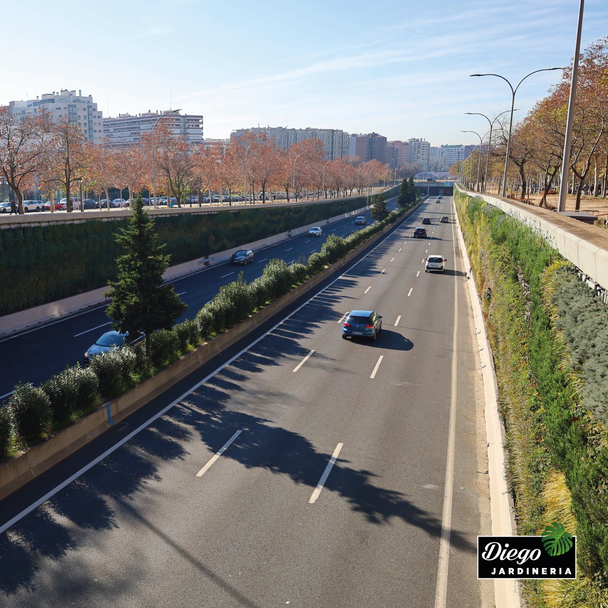 Este es el estado actual de los #jardinesverticales que instalamos en #Madrid. Es asombroso ver el impacto visual que crean estos muros y la manera en que embellecen la ciudad.

¡Feliz #greenwallday !