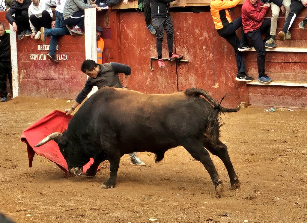 Aibabur's tweet photo. No hay toros para Madrid. 🤔 https://t.co/MheaYV7zbs