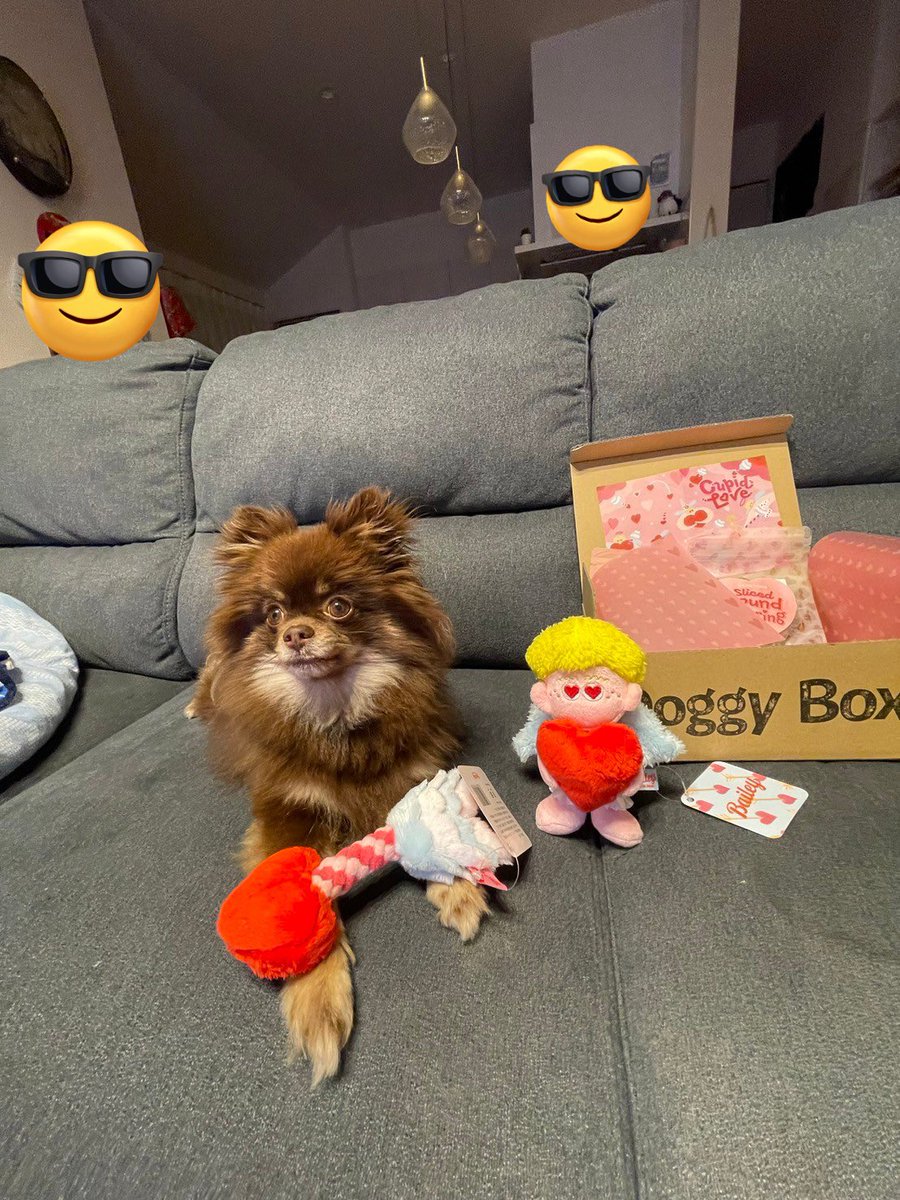 neigmakko's tweet photo. 今月もdogyboxさんから
ご提���いただきました😍✨

今月はバレンタインにちなんだ商品で
ねぎまさんも心を打ち抜かれて
噛みついていました😆😆

人形の目を見て噛みついているのは
なんだかジワります🐶😁

#pr #dogybox https://t.co/I1mEmBOQc2