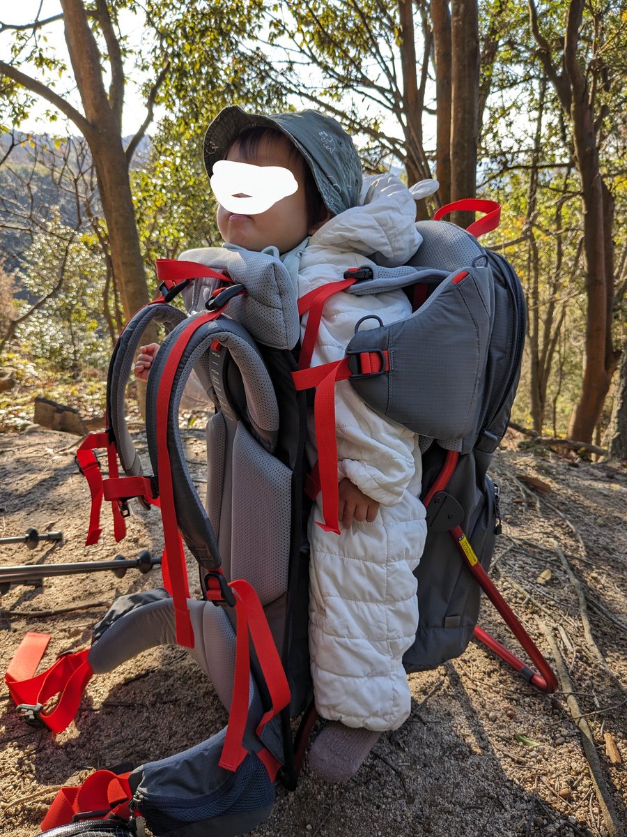 hike_around's tweet photo. ベビーキャリア登山
小さくて、揺られて寝ちゃうくらいのときのほうが山を登りやすい！(軽さ的にも)
今は歩けるし、興味が広がって、降りたいーってしてくるので高尾山では歌歌いながら歩き、葉っぱとハイタッチしながら歩き、もはや乗せてるだけでは誤魔化せなくなっている！背中で感じる成長！！ https://t.co/GBgELnGOiT