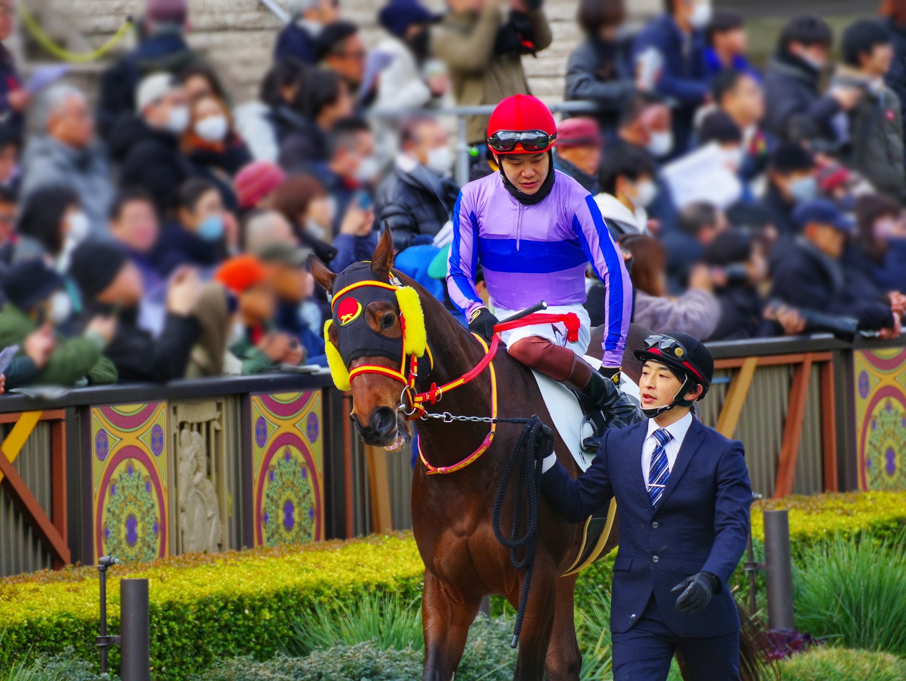 マルタ騎士騎馬像　新品　未開封 マルタ騎士騎馬像 新品 未開封 【公式通販】