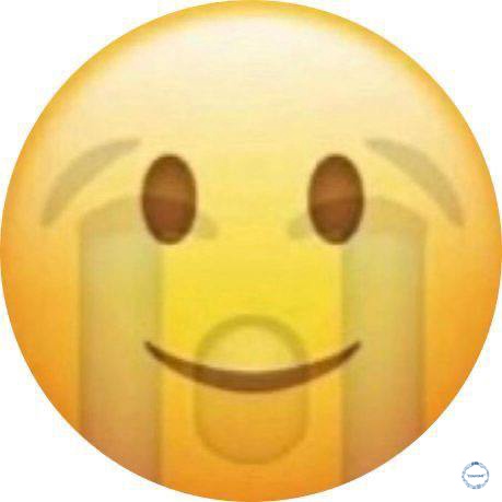 sa tweet media