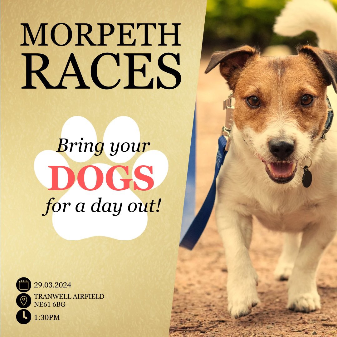 Morpeth Races tweet media