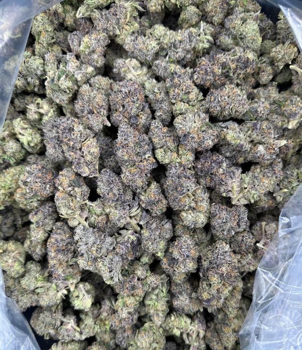 UprootCannabis's tweet photo. Guava Cookie 🍪🍃

Awesome looking buds 😍

#StonerFam #Mmemberville https://t.co/PNbXFVEH6Y