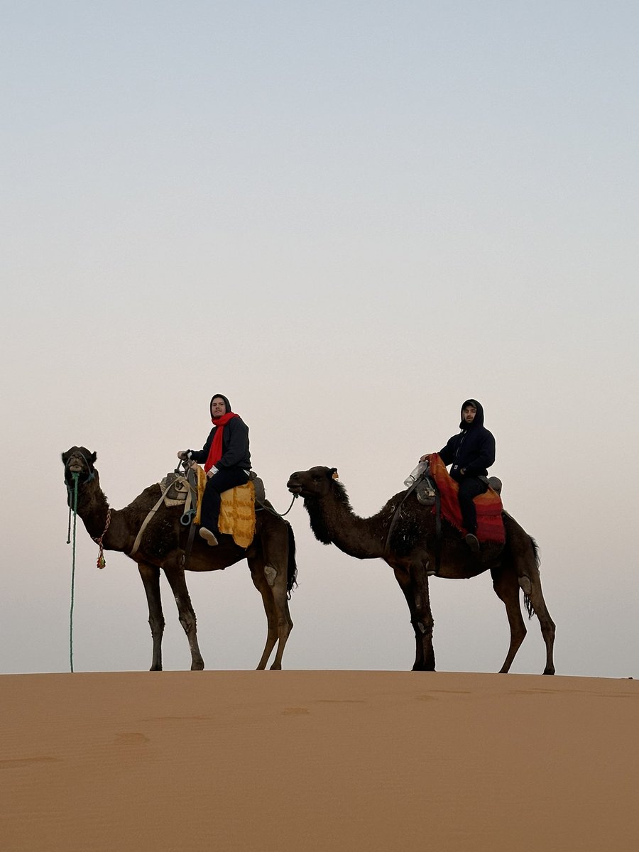 DSampson101's tweet photo. NORTH AFRICA WTF! 

What a blast Morocco thank you!🫡 https://t.co/zWvdi7zIfb
