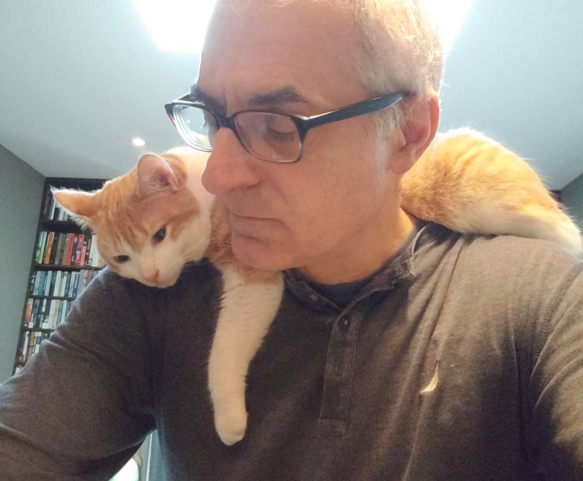 Theo Moudakis tweet media