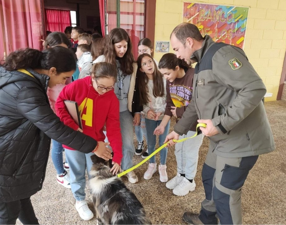 Agradecemos al CEIP Cervantes, de Ciudad Real, la atención prestada a #AgentesMedioambientales en la charla sobre la #UnidadCanina, la problemática de las especies invasoras y el correcto trato a los animales. Un placer haber presentado a Tilín el nuevo agente #K9🐕‍🦺👮🏻‍♂️.