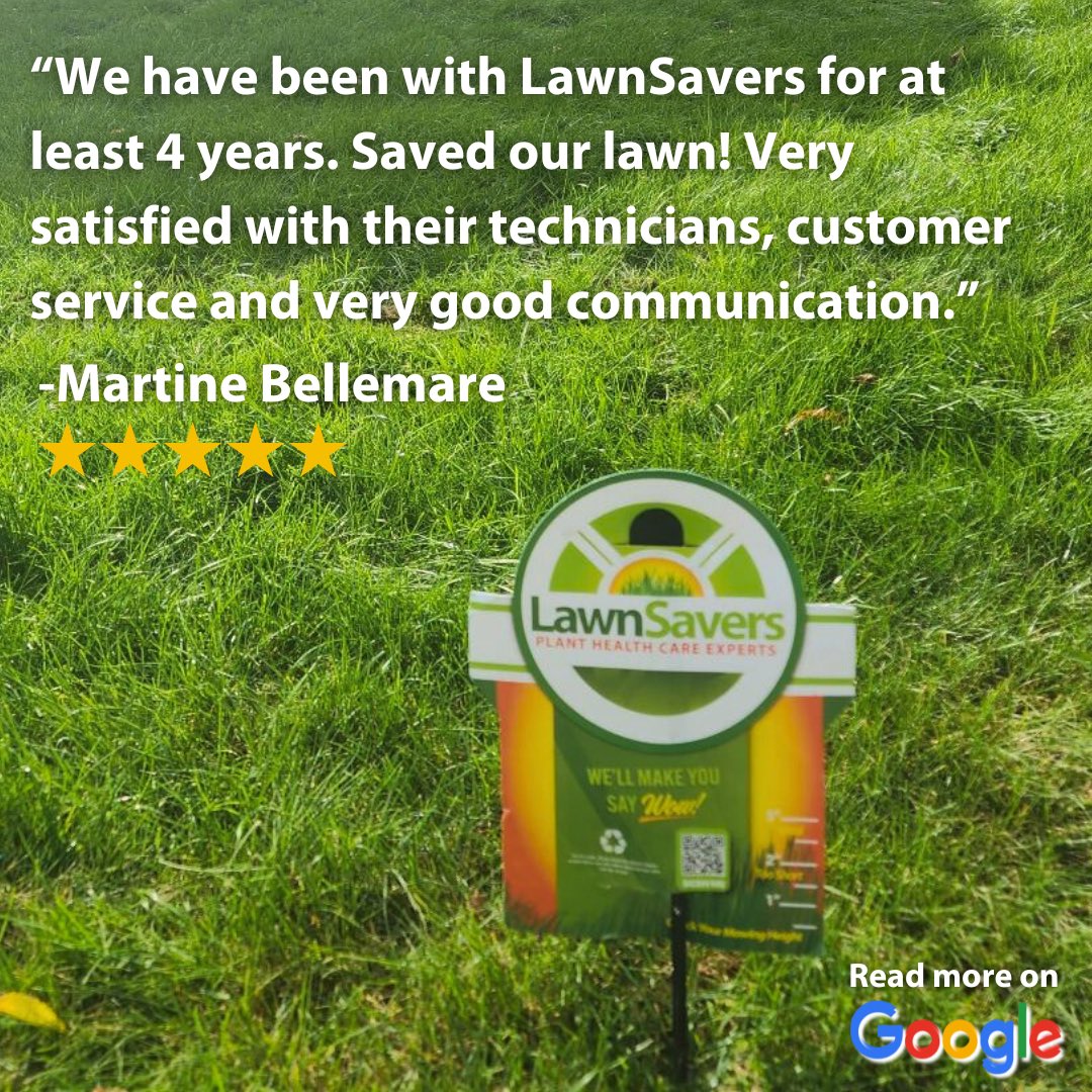 Our team takes great pride in delivering top-notch service, from our technicians to our communication. Thank you for your continued trust and support! #LawnSavers #CustomerSatisfaction #GTA #toronto #vaughan #etobicoke #brampton #concord #thornhill #richmondhill #lawn #lawncare