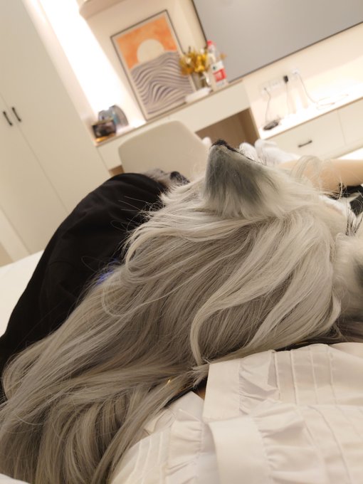 🥵 https://t.co/vZe4yC5oI8<a href="/tag/cosplay"class="tags"><span>#cosplay</span></a><a href="/tag/%E9%9C%B2%E5%87%BA"class="tags"><span>#露出</span></a><a href="/tag/%E4%BC%AA%E5%A8%98"class="tags"><span>#伪娘</span></a><a href="/tag/%E5%A5%B3%E8%A3%85%E5%AD%90"class="tags"><span>#女装子</span></a><a href="/tag/%E7%94%B7%E5%A8%98"class="tags"><span>#男娘</span></a><a href="/tag/%E9%9B%B7%E7%94%B5%E5%B0%86%E5%86%9B"class="tags"><span>#雷电将军</span></a>