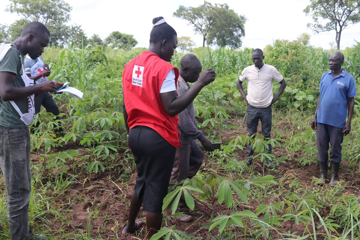 ICRC and South Sudan Red Cross <a href="/SSRCS/">South Sudan Red Cross</a>, jointly support people affected by armed conflict and other situation of violence. Today, we signed agreements aiming at improving our response.