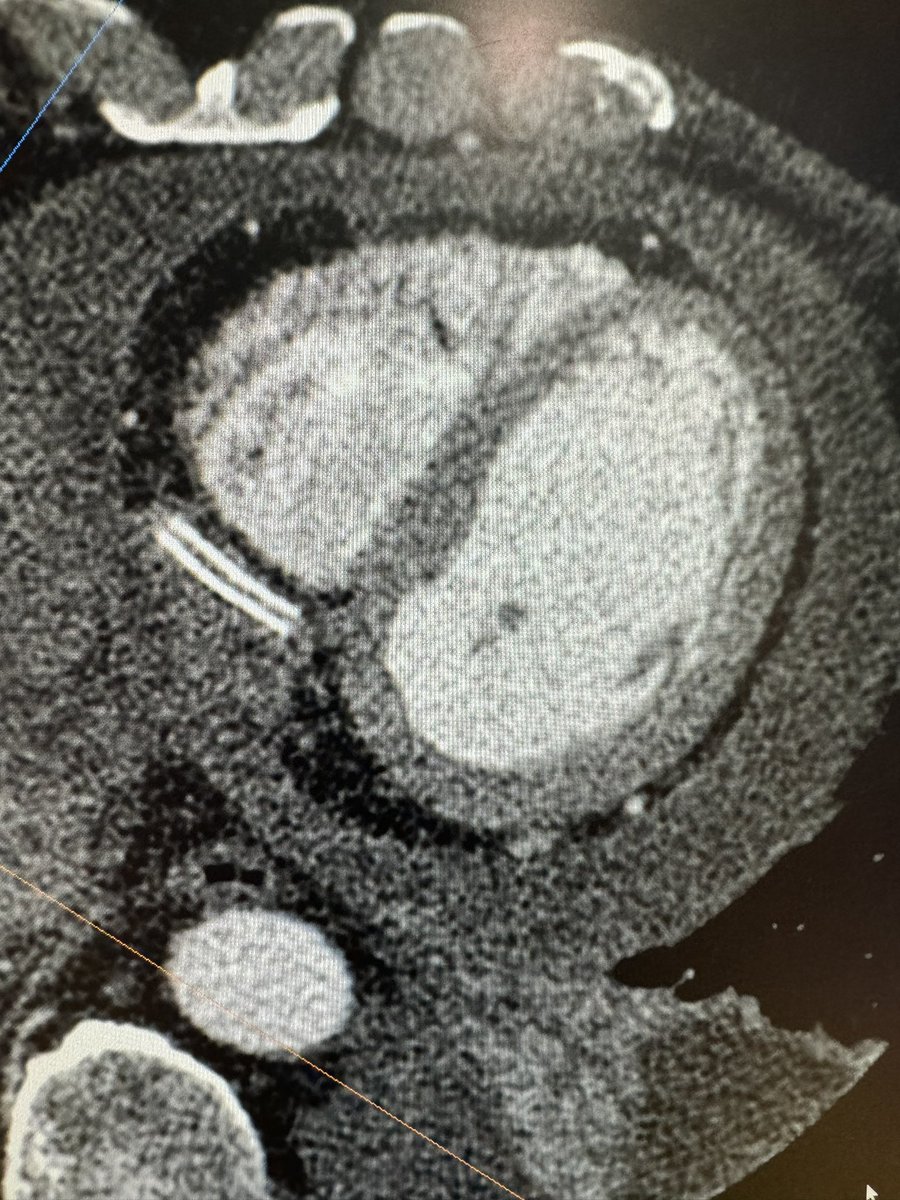 Vineeta Ojha tweet media