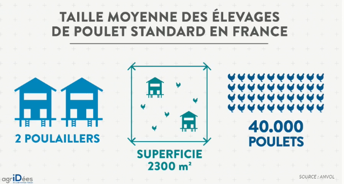 Conférence Agridées sur le thème " Souveraineté alimentaire? Le cas poulet". 
On nous demande de produire plus de poulets de qualité quand leur consommation stagne. On ouvre nos frontières aux poulets étrangers.