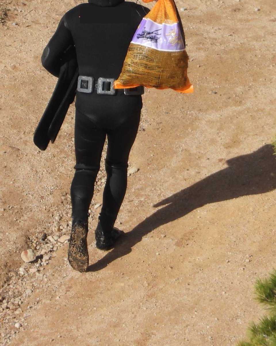 agentsruralscat's tweet photo. Conjuntament amb @AccioClimatica i la Policia Local de Castell d’Aro, Platja d’Aro i S’Agaró @femajuntament, s’intercepten i denuncien 2 persones per marisquejar #garotes a nivell recreatiu per a ser venudes.
📰Més informació a la nota de premsa⬇️:
https://t.co/Tzgc3NFapK https://t.co/zjxLLpQwK7