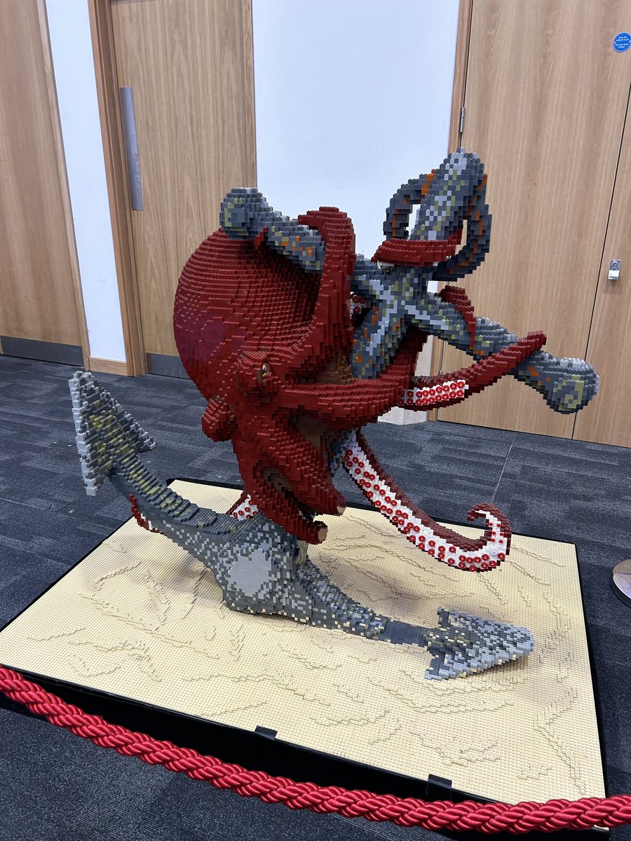 Terri Jones tweet media