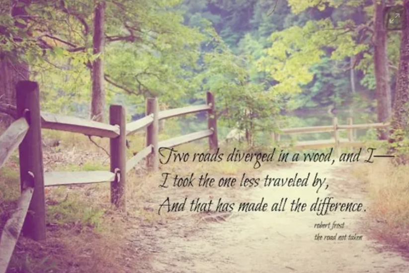 K J Wiles tweet media