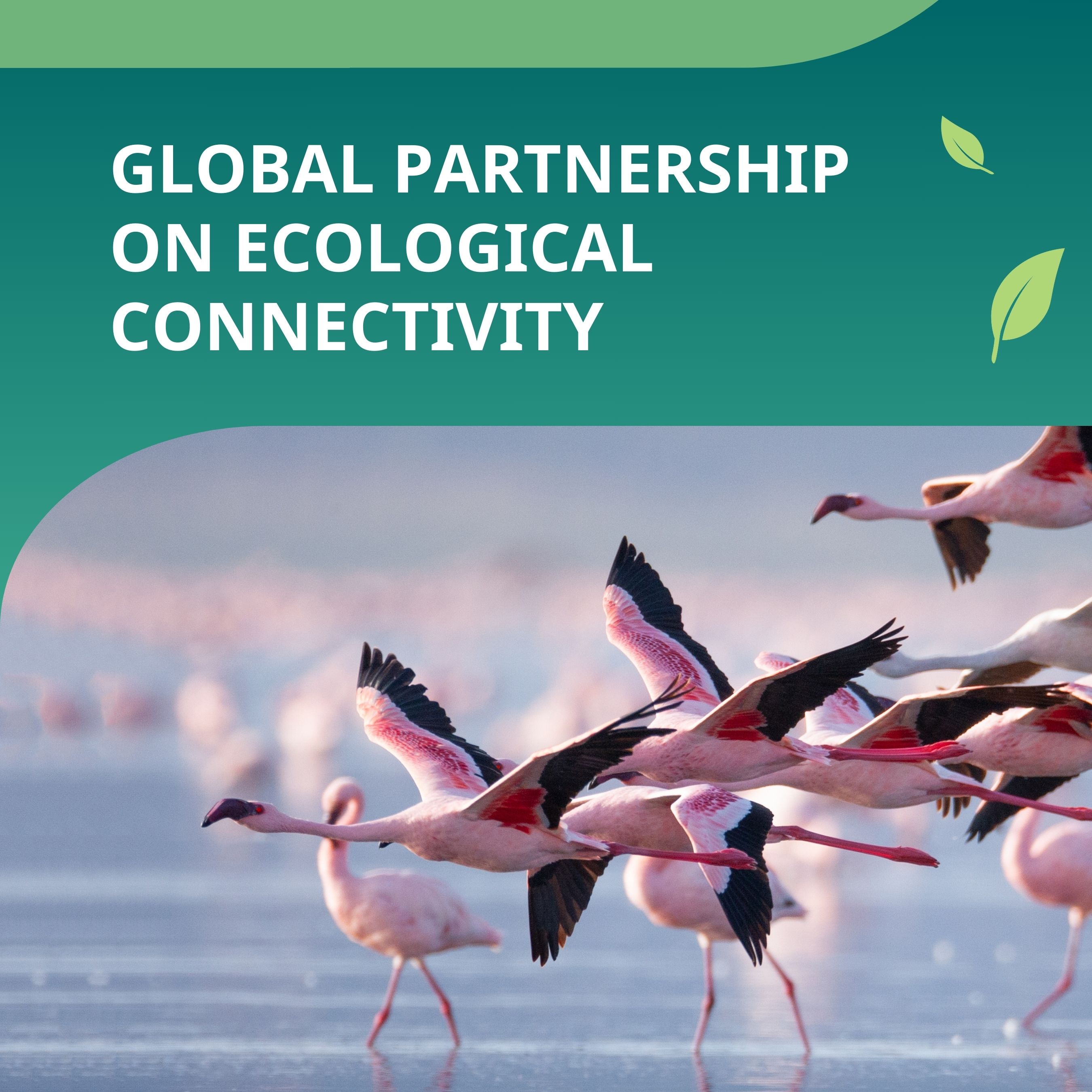ICLEI Cities Biodiversity Center on X