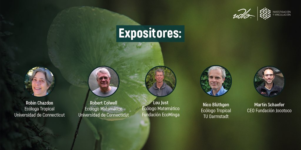 Investigación y Vinculación UDLA (@udla_investiga) on Twitter photo 🌿 Descubre las riquezas e importancia de los ecosistemas tropicales junto a líderes internacionales en investigación y conservación. 🌎
#UDLAinvestiga <a href="/UDLAEcuador/">UDLA Ecuador</a>
Revisa los detalles 👇🏼 🌿 Descubre las riquezas e importancia de los ecosistemas tropicales junto a líderes internacionales en investigación y conservación. 🌎
#UDLAinvestiga <a href="/UDLAEcuador/">UDLA Ecuador</a>
Revisa los detalles 👇🏼