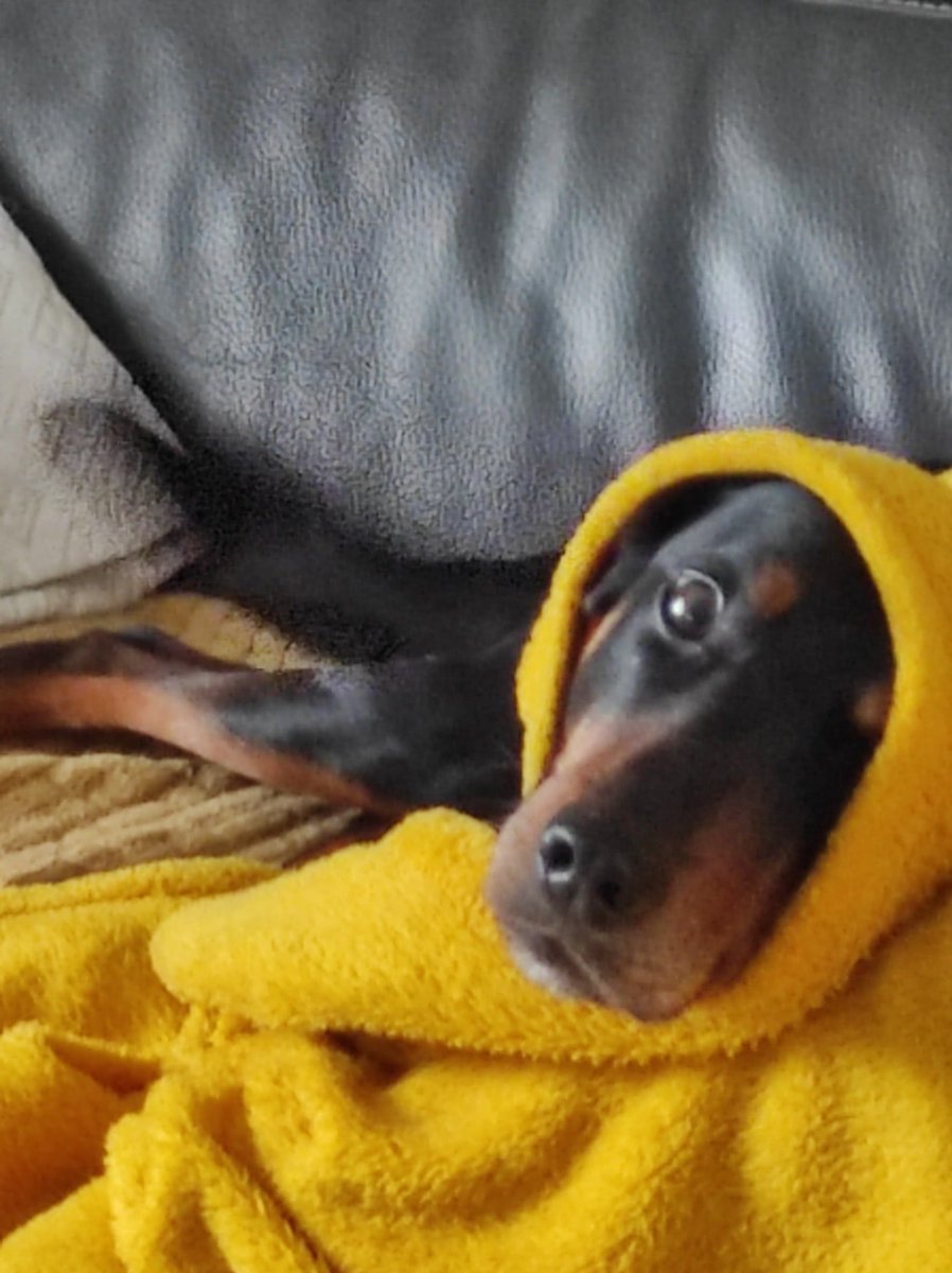 Eh ouais, #monmilou est de retour, tranquille...