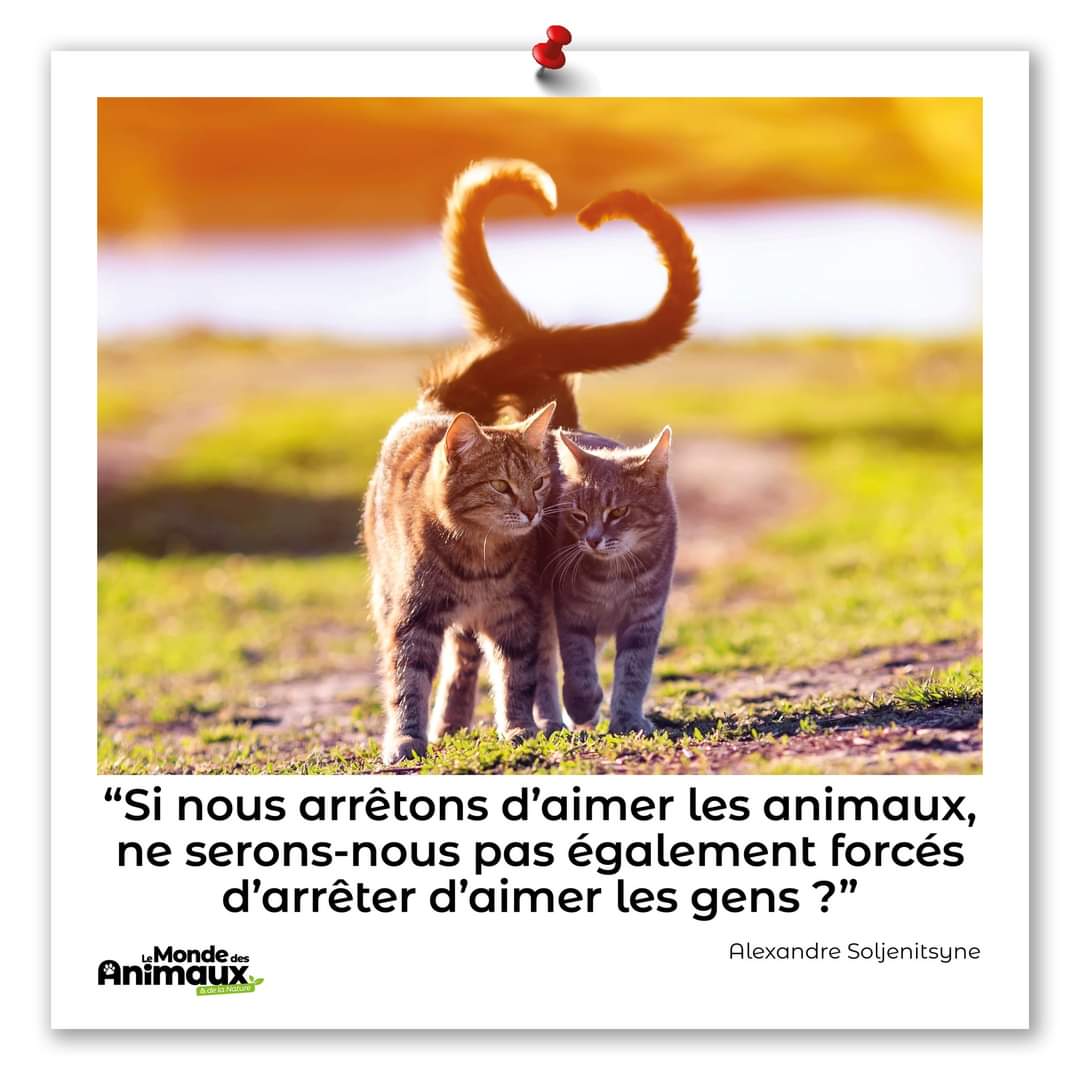 Olivier Quelier (@olivierquelier) on Twitter photo 