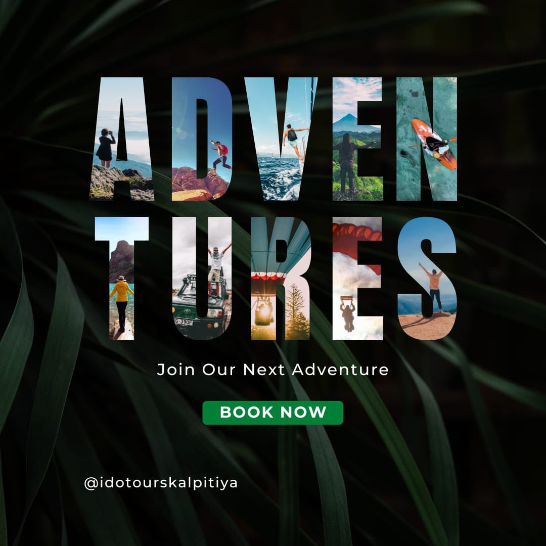 ToursDo's tweet photo. Adventure | Join Our Next Adventure 😍

Book Now +947-1-100-8001

#adventures #adventuretime #kalpitiya #kalpitiyahotels #kalpitiyalagoon #kalpitiyabeach https://t.co/el31Iz3IjQ